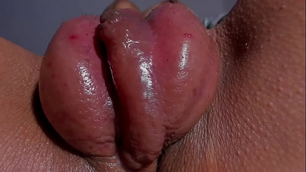 Chimpanzee Pussy
